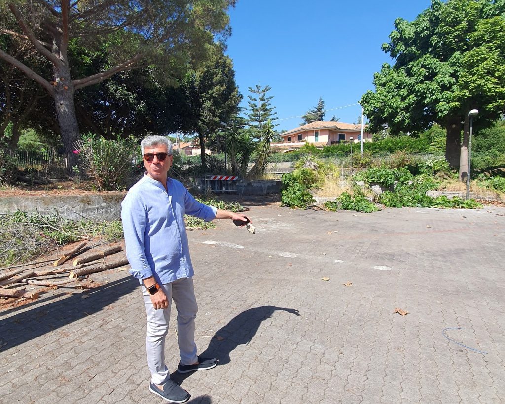 Palasport Coco, in corso rimozione aiuole e potatura alberi